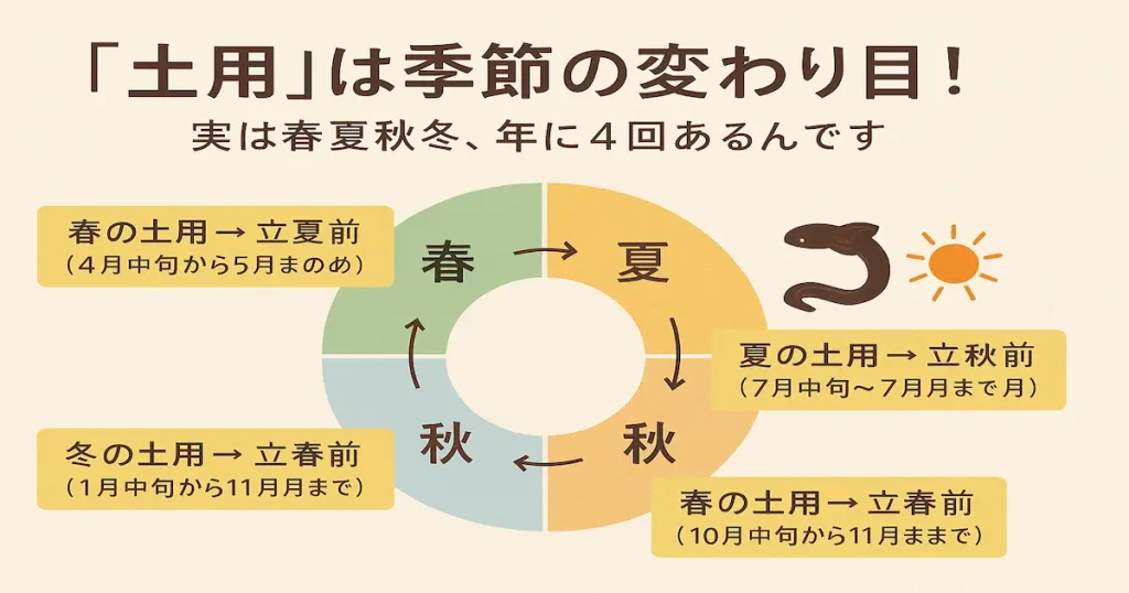 春夏秋冬の各季節の土用期間を示した和風図解。円形で四季を表現し、夏の土用（丑の日）をうなぎと太陽のイラストで強調。